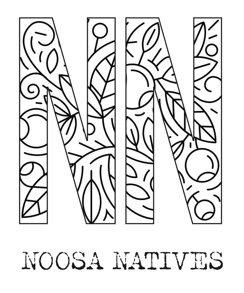 Noosa Natives